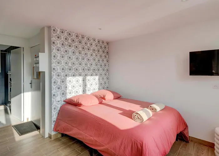 Le Littoral - Appart'escale 公寓 *